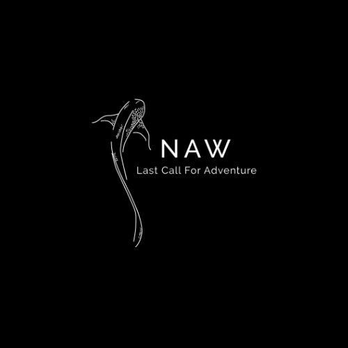 website logo