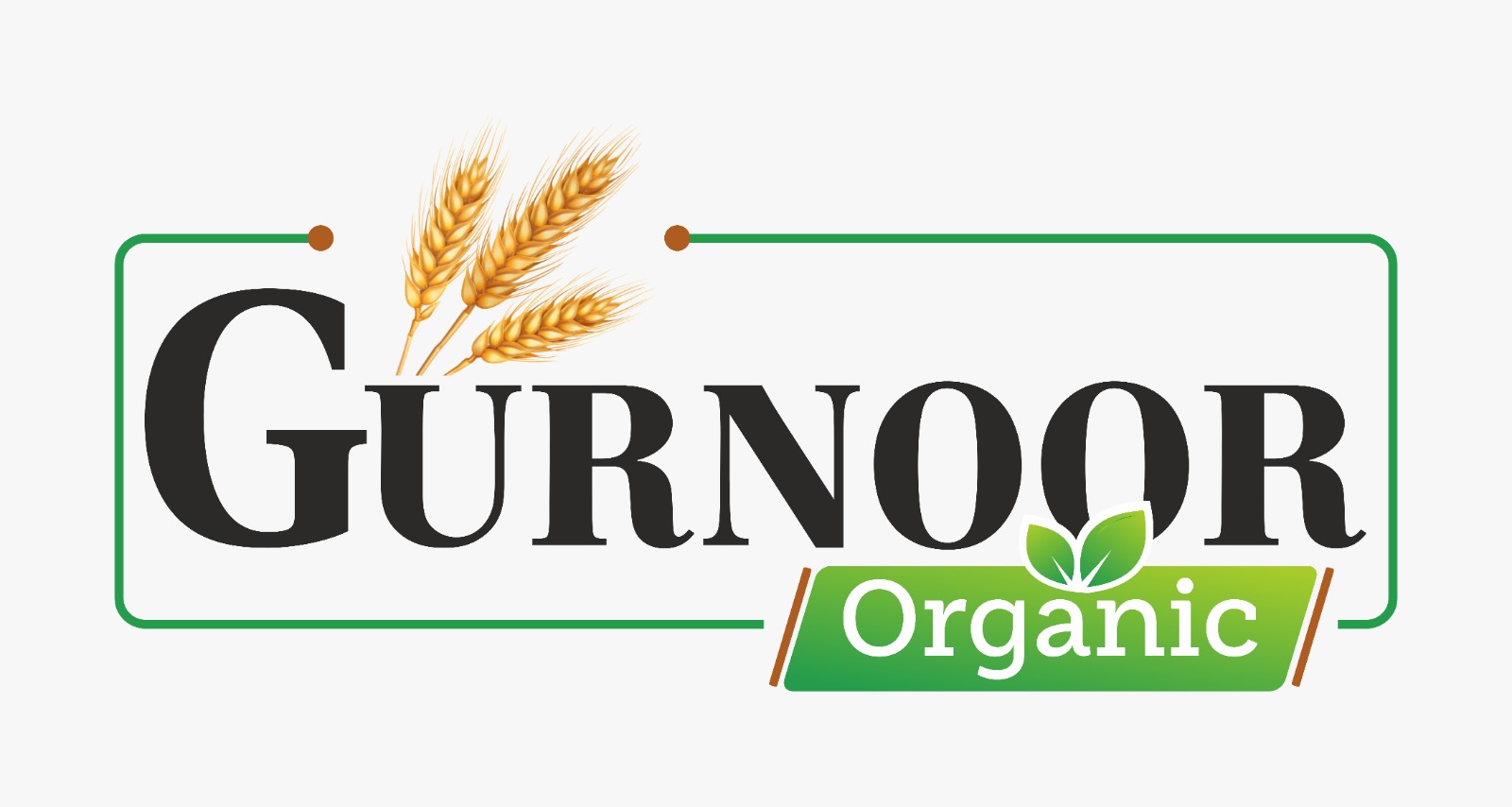 website logo